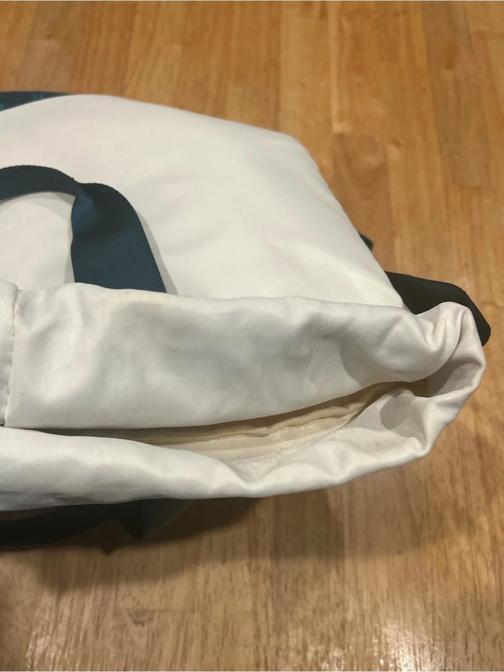 Disney Treasure Inaugural Sailings Bag/ Tote Castaway Club Back Pack